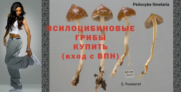 хмурый Белоозёрский