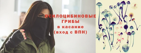 эйфоретик Богородицк
