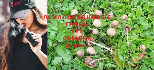 дживик Богданович